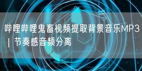 哔哩哔哩鬼畜视频提取背景音乐MP3｜节奏感音频分离